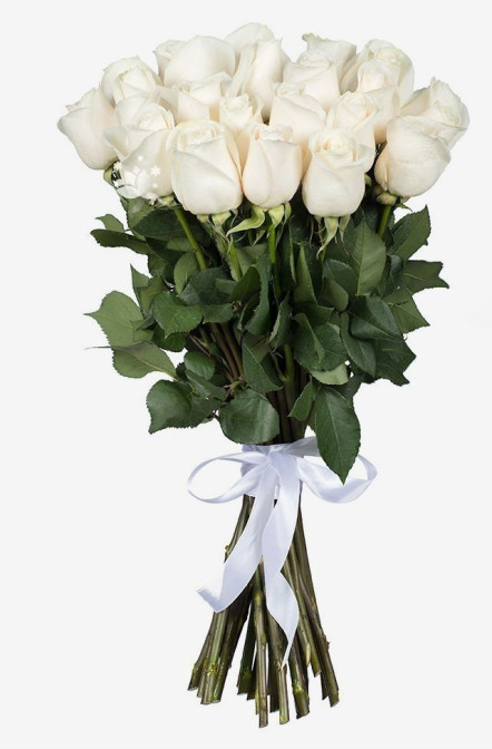 25 Weiße Rosen