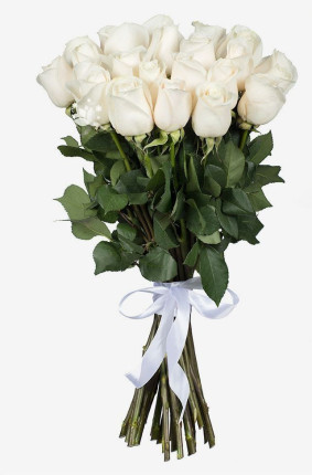 Weiße Rosen Image