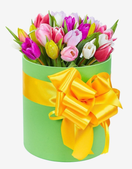 Box mit Tulpen