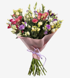 Glamouröse Eustoma