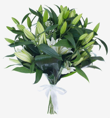 Bouquet of 10 Lilies