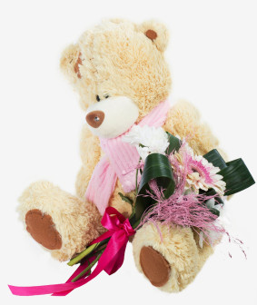 Romantischer Teddybär Image