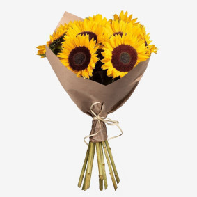 Strauß Sonnenblumen Image