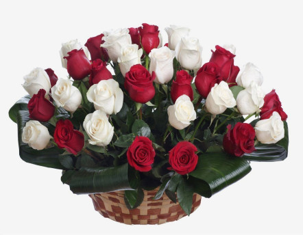Korb mit roten und weißen Rosen