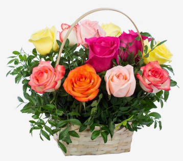 Rainbow Roses Basket