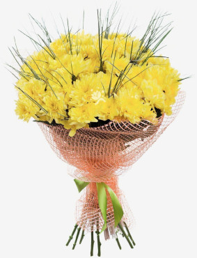 12 Gelbe Сhrysanthemen Image