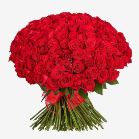 150 Rote Rosen Image