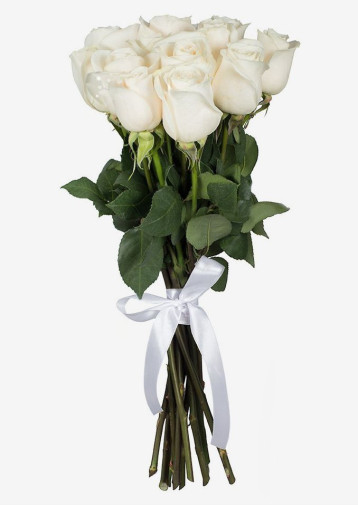 11 Weiße Rosen