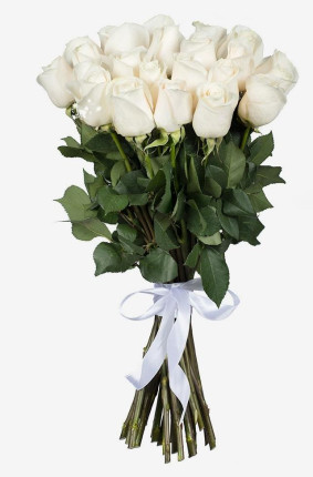 Weiße Rosen Image