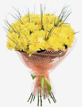 12 Gelbe Сhrysanthemen Image