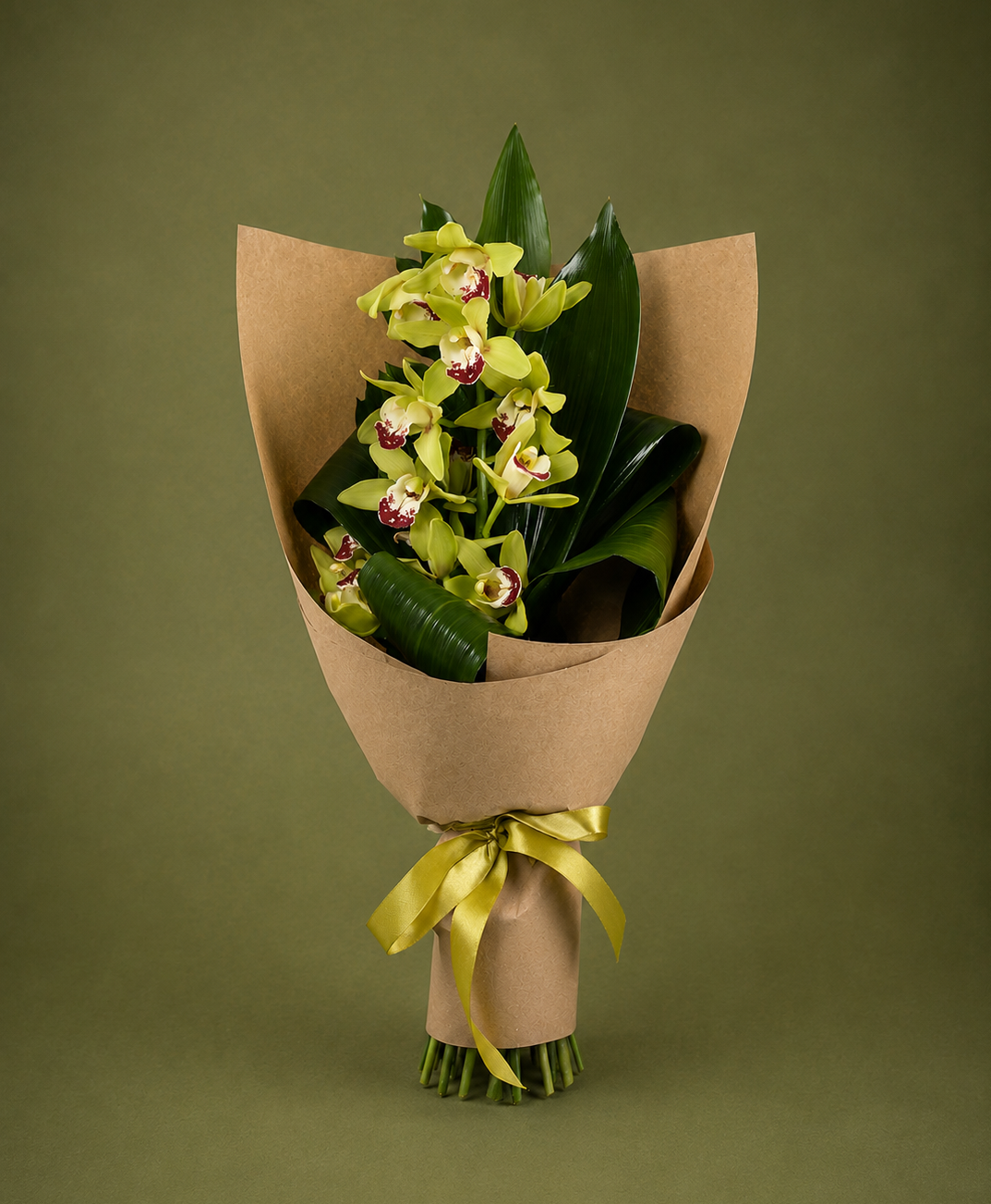 Charmante Orchidee